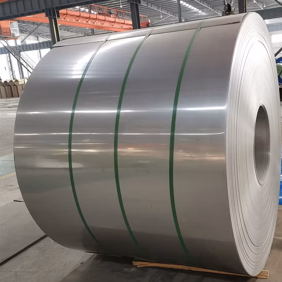 201 304 316 309S 310S 430 Dx51d Dx52D Dx53D Q235 Q345 DC01 SPCC Spcd Spch SPTE Tinplate/Aluminum/Carbon Steel/PPGI/PPGL/Galvanized Steel/Stainless Steel Coil